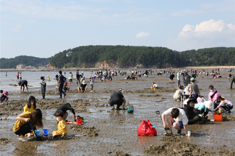 태안해안 몽산포,  '생태휴식제’로 갯벌 생태계 보호한다!