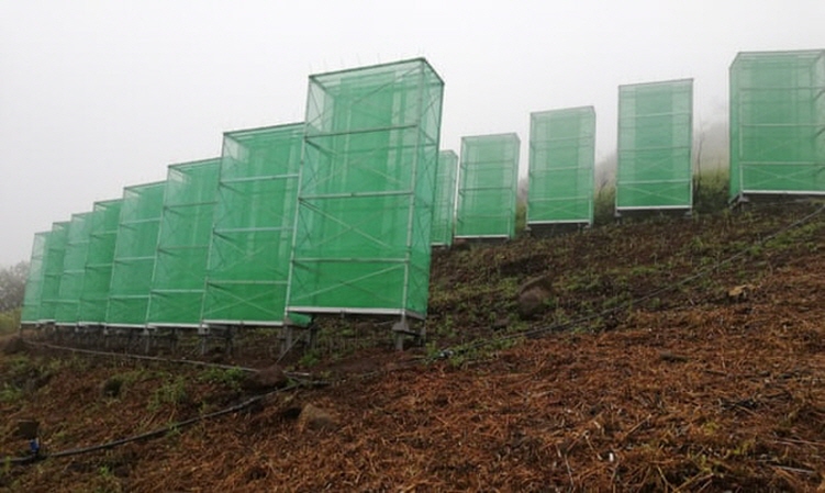 '안개 수집기'로 물을 모아, 황폐화된 산림 복원